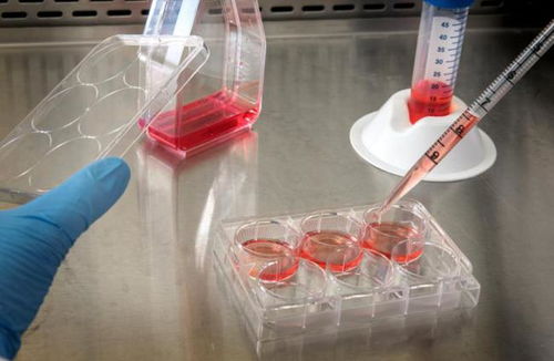 奧浦邁回應監管問詢，深入解讀產品競爭格局與技術地位